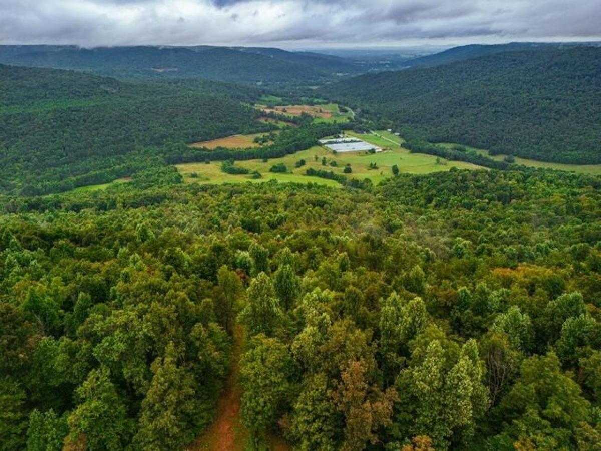 Picture of Residential Land For Sale in Crawford, Tennessee, United States