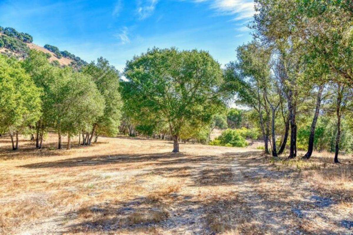 Picture of Residential Land For Sale in Calistoga, California, United States