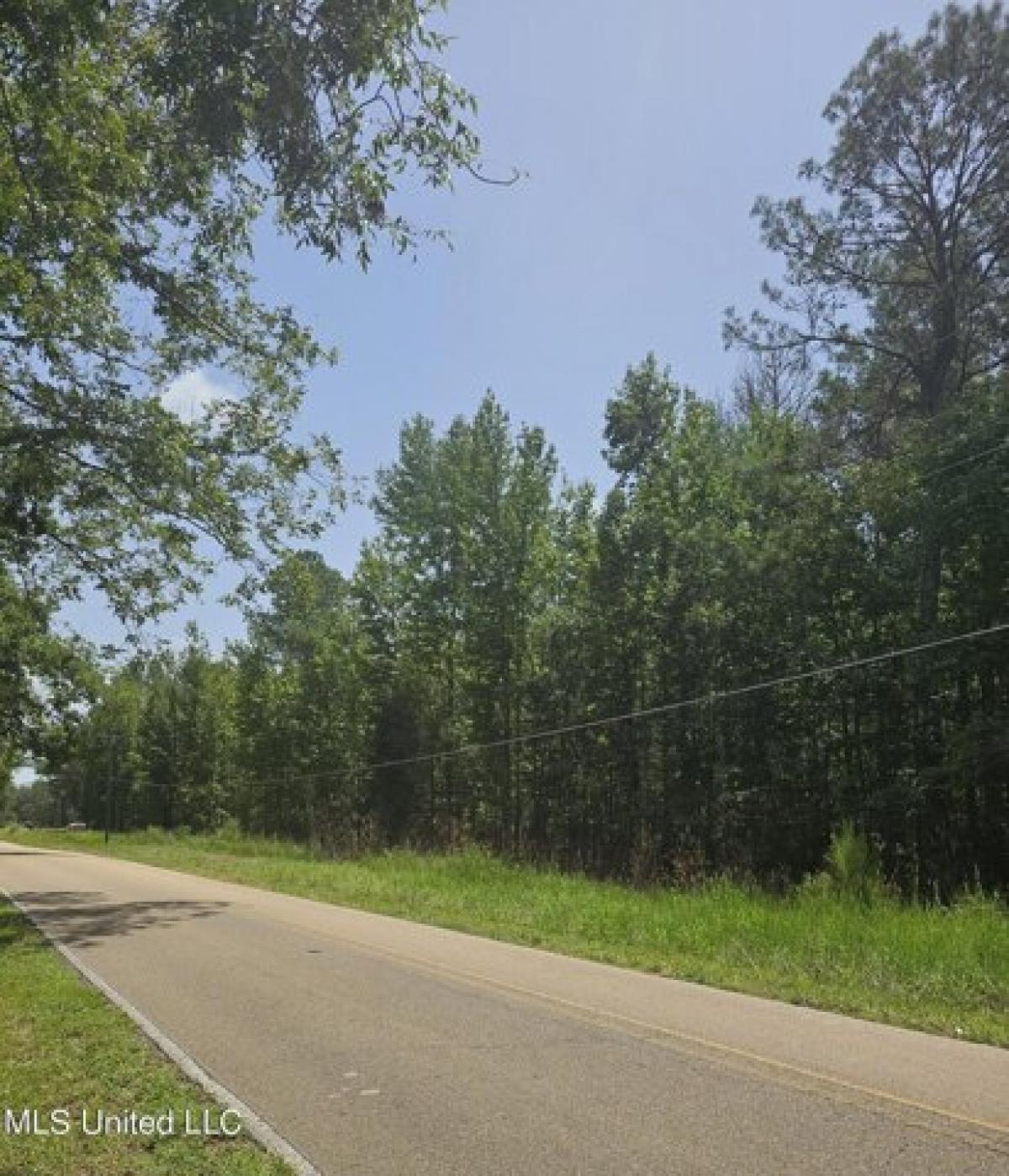 Picture of Residential Land For Sale in Brandon, Mississippi, United States