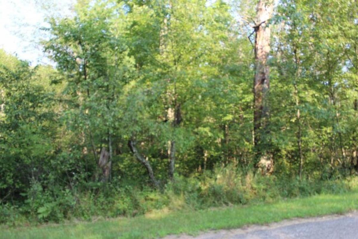 Picture of Residential Land For Sale in Crivitz, Wisconsin, United States