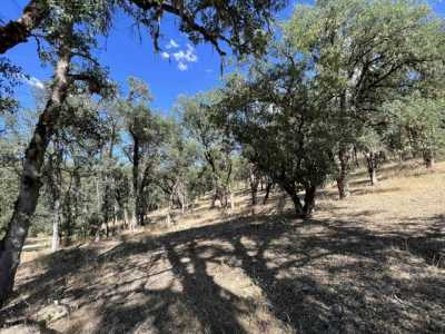 Residential Land For Sale in Douglas City, California