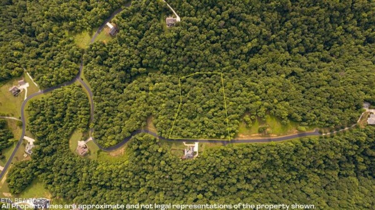 Picture of Residential Land For Sale in Powell, Tennessee, United States