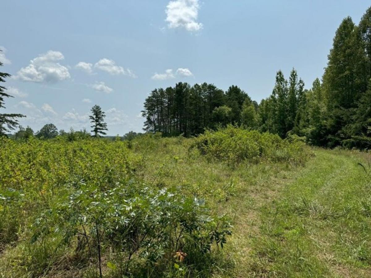 Picture of Home For Sale in Nathalie, Virginia, United States