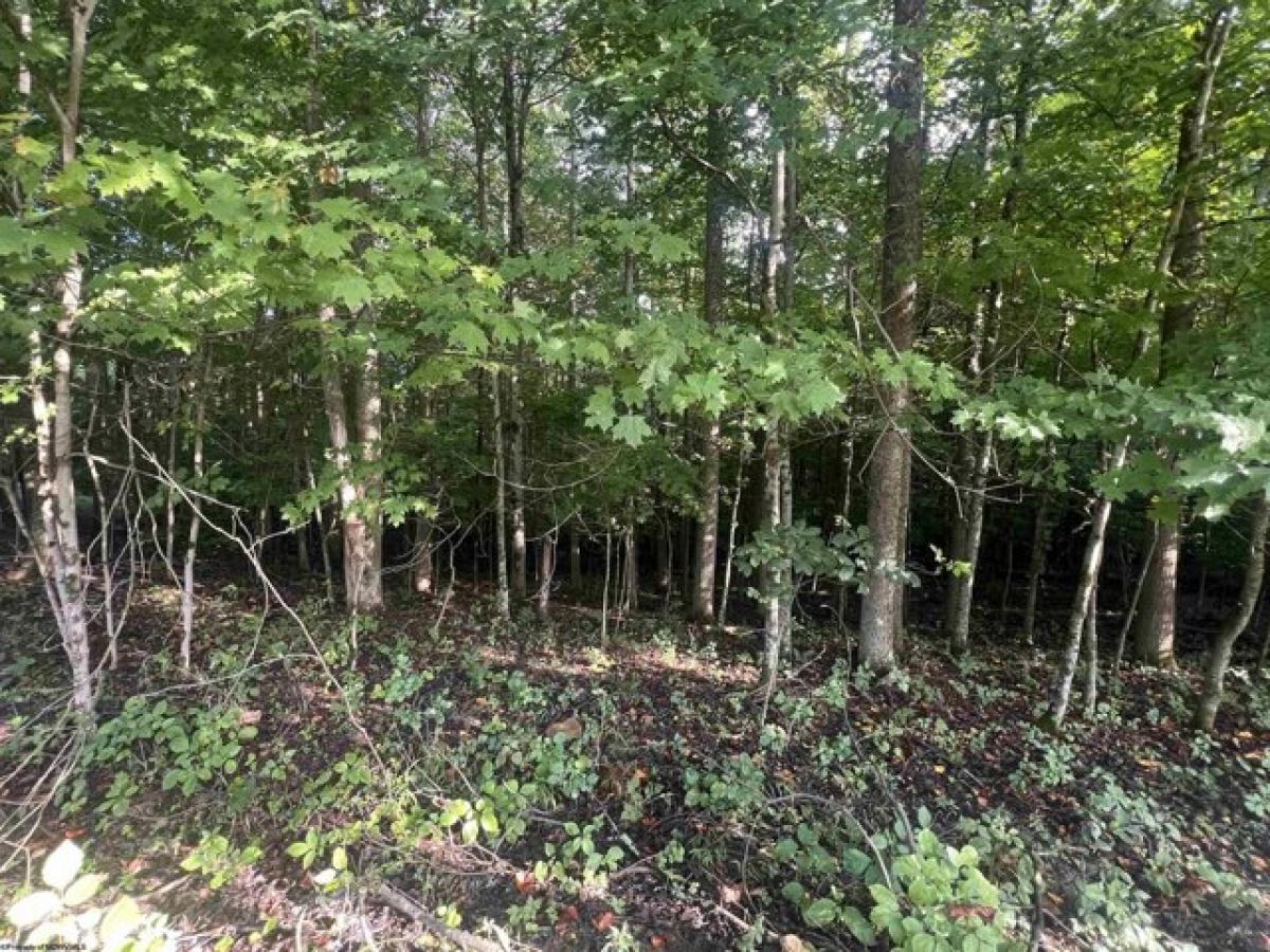 Picture of Residential Land For Sale in Grafton, West Virginia, United States