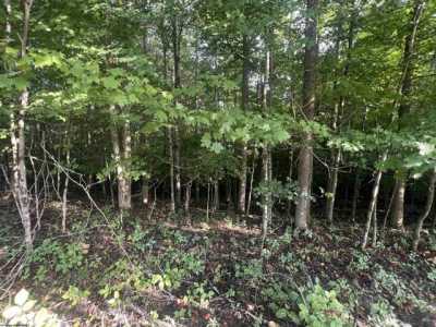 Residential Land For Sale in Grafton, West Virginia