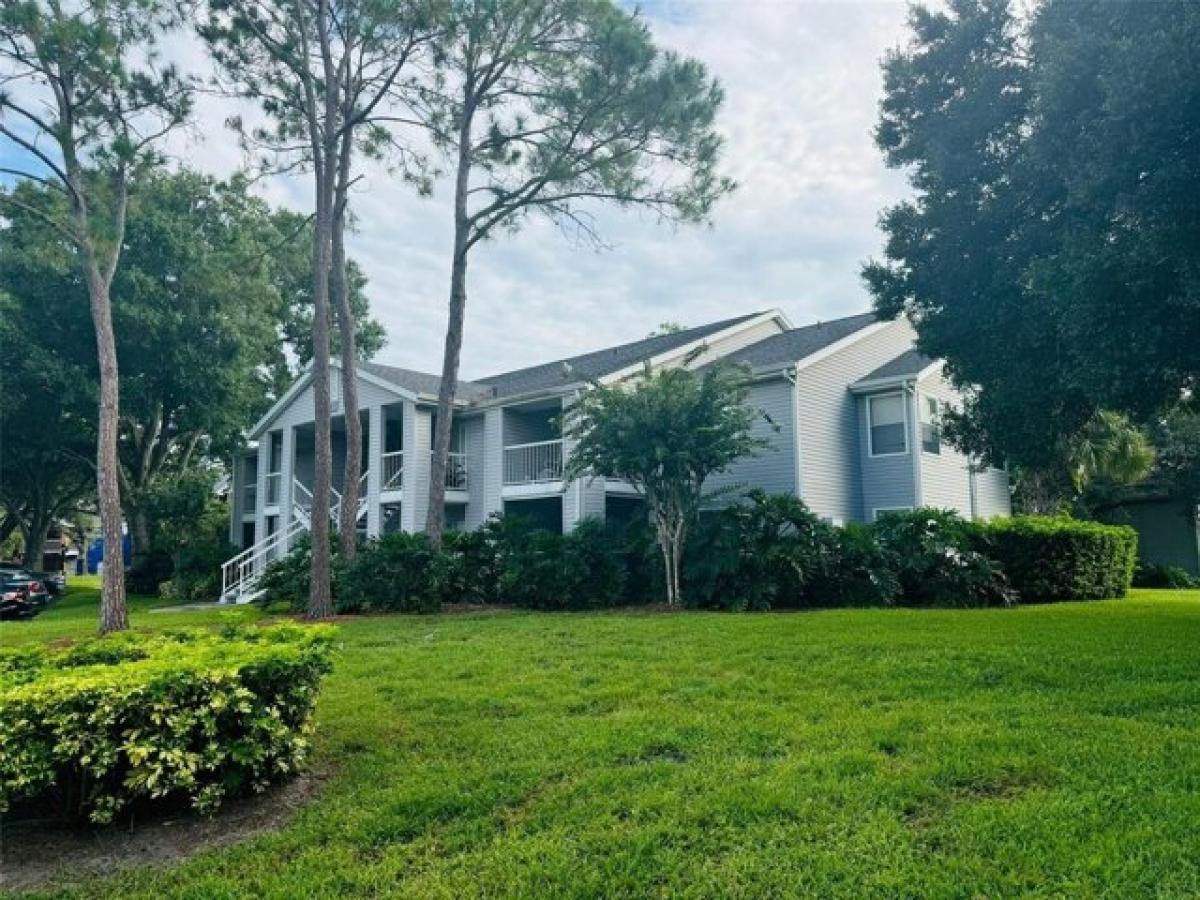 Picture of Home For Rent in Lake Mary, Florida, United States