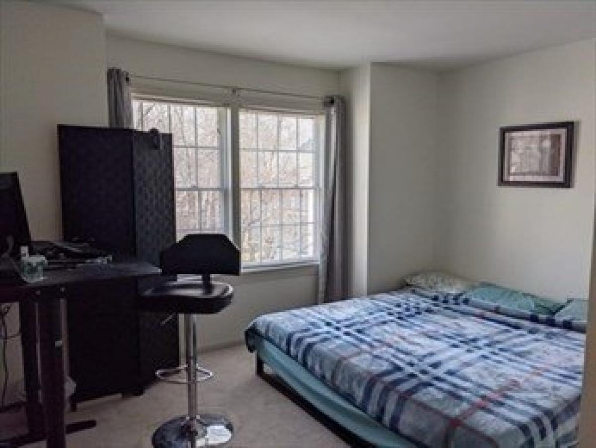 Picture of Home For Rent in Wellesley, Massachusetts, United States