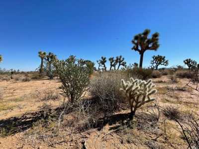 Residential Land For Sale in Yucca Valley, California