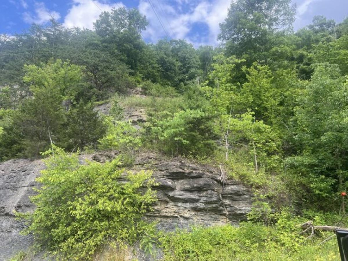 Picture of Residential Land For Sale in Pikeville, Kentucky, United States