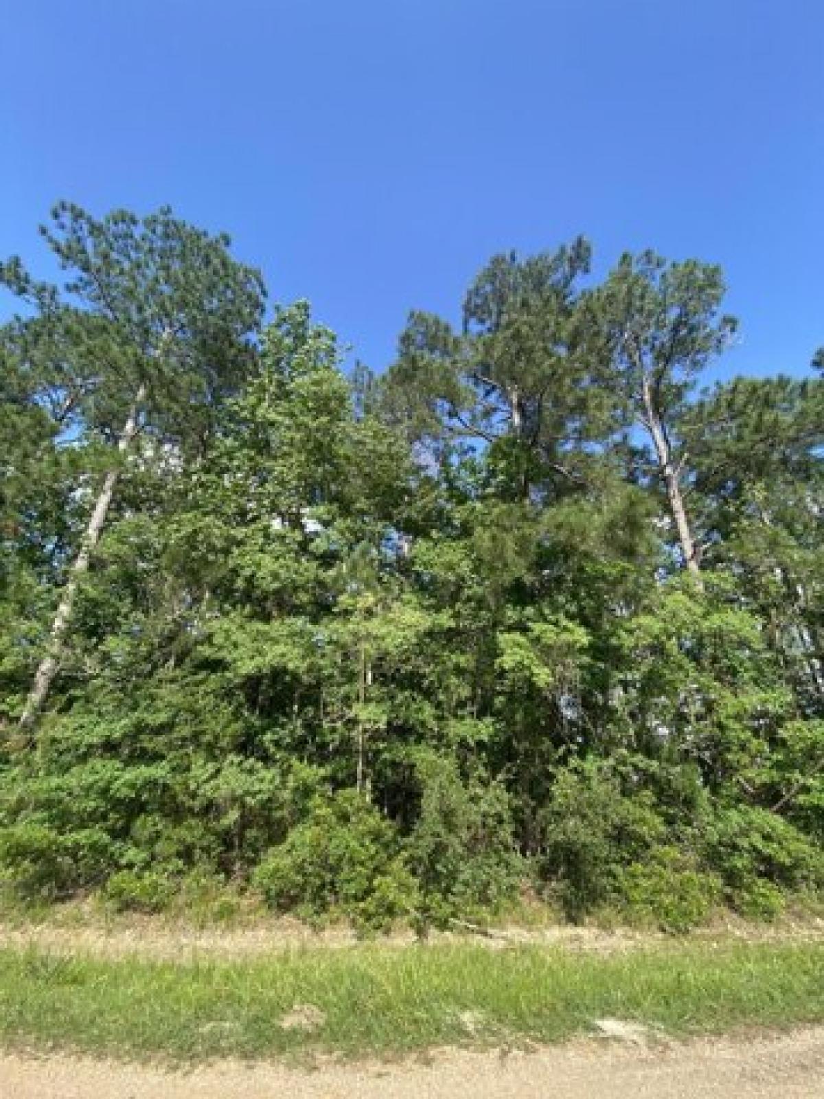 Picture of Residential Land For Sale in Deridder, Louisiana, United States