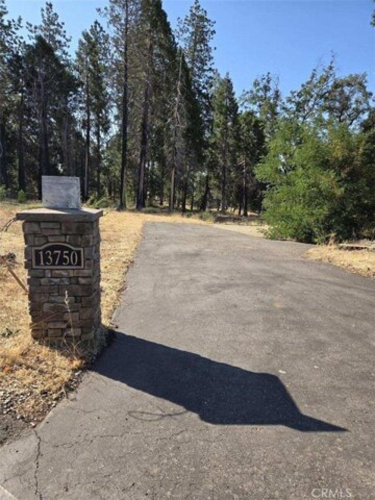 Picture of Residential Land For Sale in Magalia, California, United States