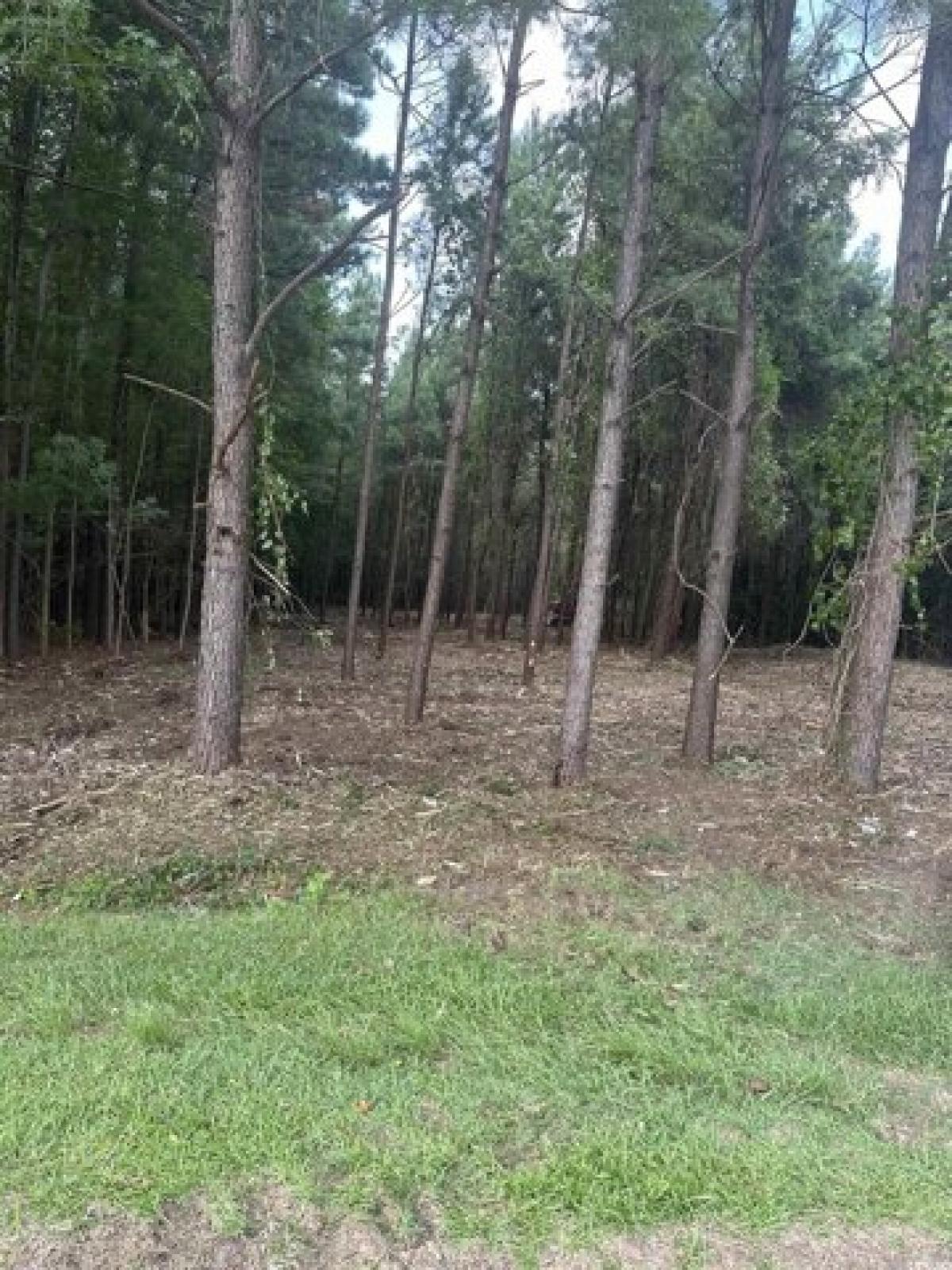 Picture of Residential Land For Sale in Loris, South Carolina, United States