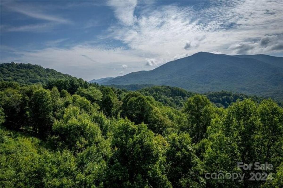 Picture of Residential Land For Sale in Sylva, North Carolina, United States