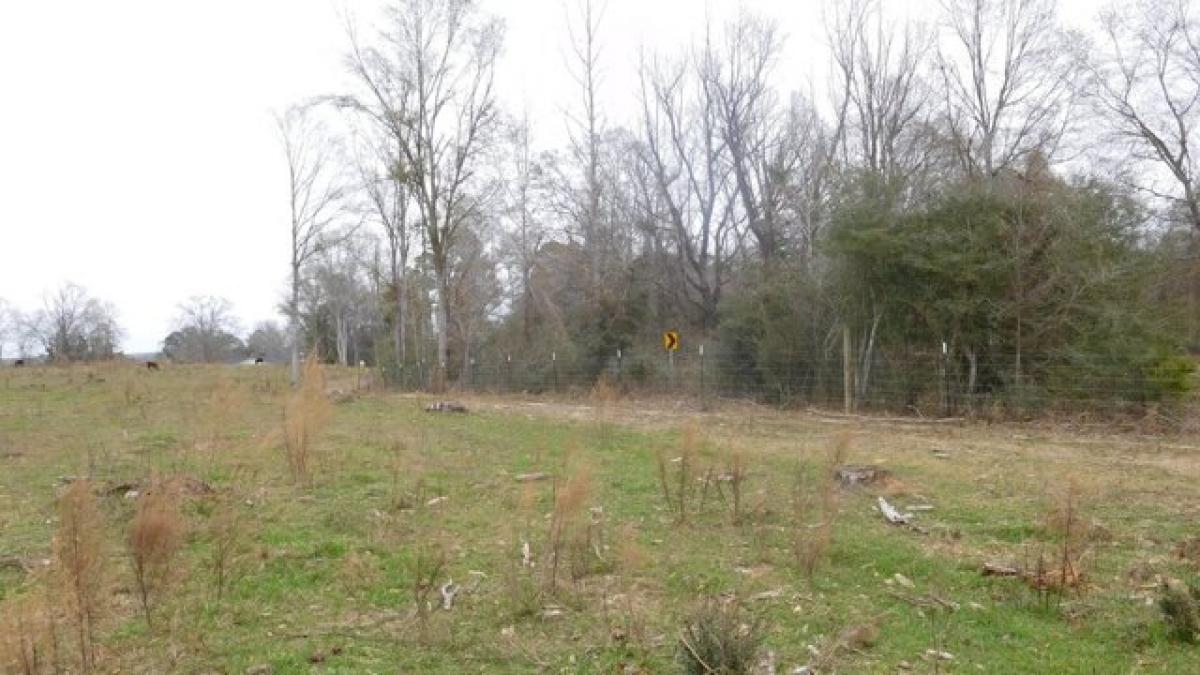 Picture of Residential Land For Sale in Bassfield, Mississippi, United States