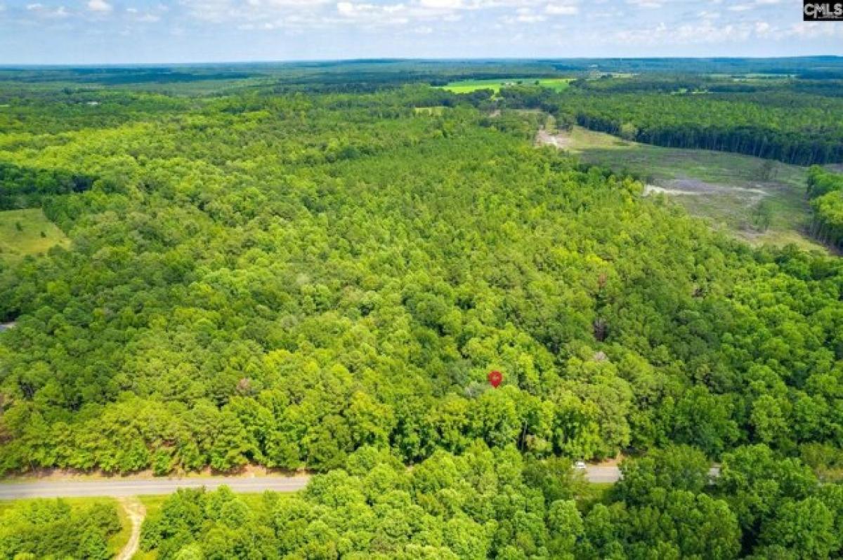 Picture of Residential Land For Sale in Camden, South Carolina, United States