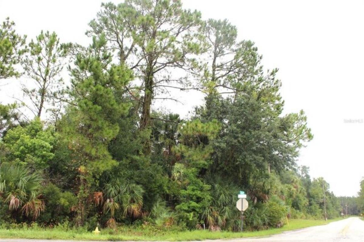 Picture of Residential Land For Sale in Pierson, Florida, United States