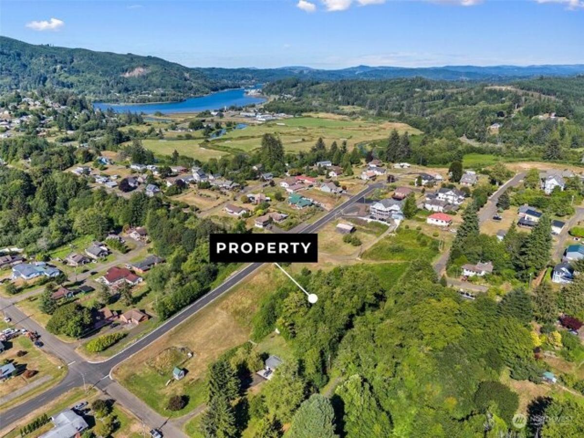 Picture of Residential Land For Sale in South Bend, Washington, United States