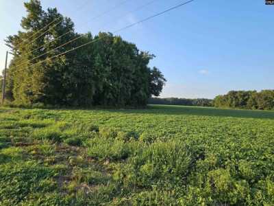 Residential Land For Sale in Elloree, South Carolina