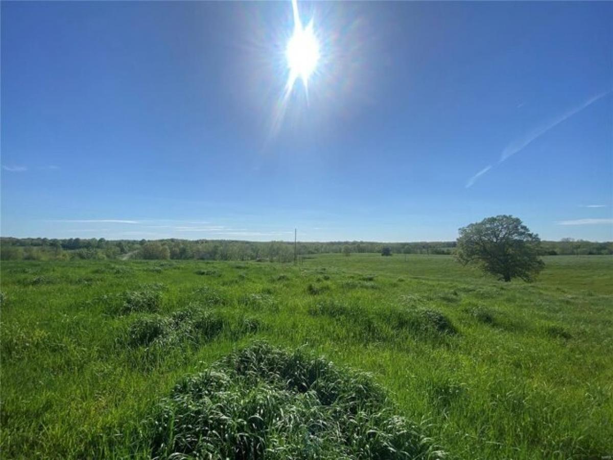 Picture of Residential Land For Sale in Wellsville, Missouri, United States