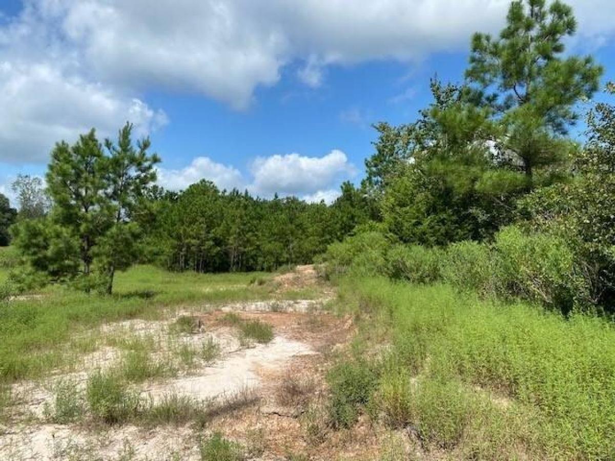 Picture of Residential Land For Sale in Henderson, Texas, United States