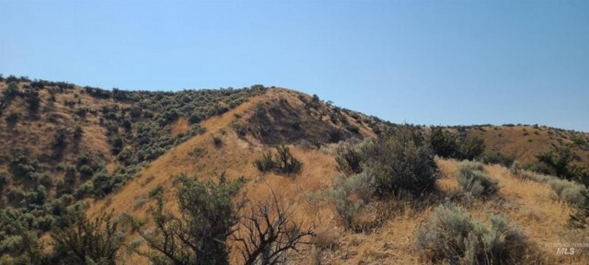 Picture of Residential Land For Sale in Boise, Idaho, United States