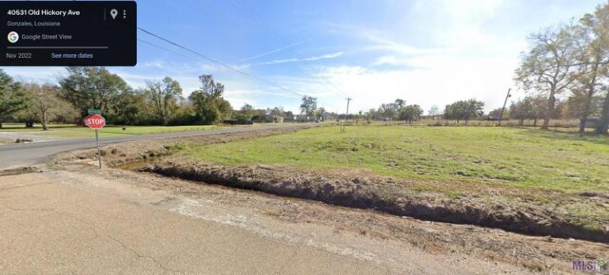 Picture of Residential Land For Sale in Gonzales, Louisiana, United States