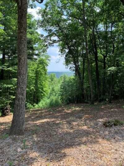 Residential Land For Sale in McGrady, North Carolina