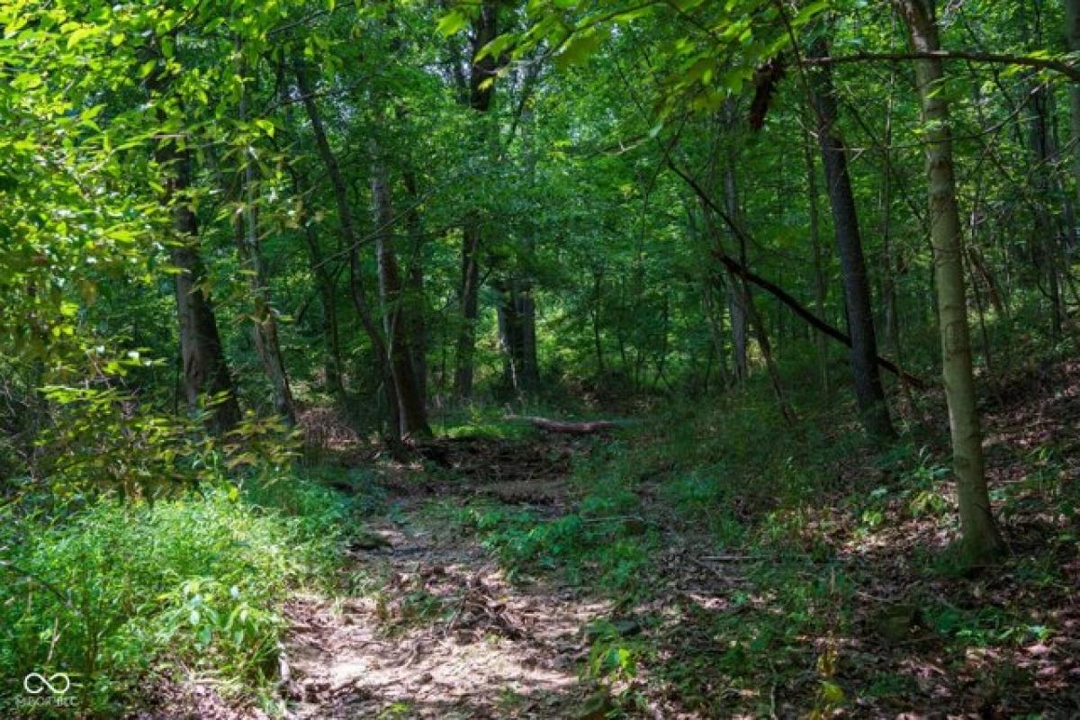 Picture of Residential Land For Sale in Medora, Indiana, United States