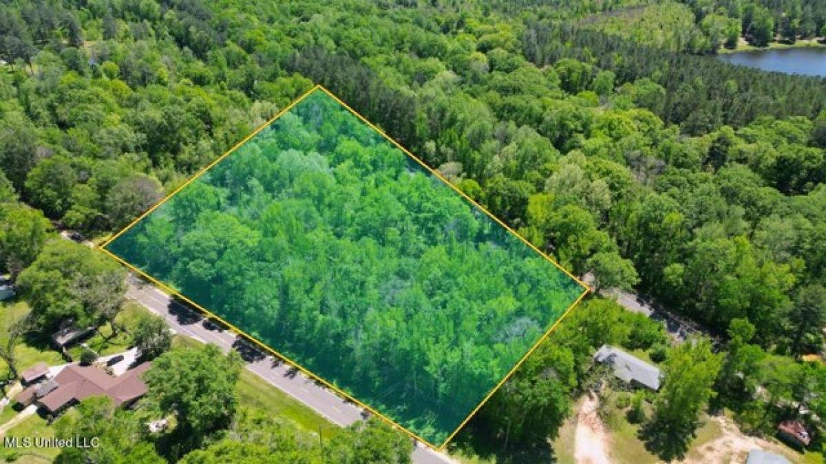 Picture of Residential Land For Sale in Mendenhall, Mississippi, United States