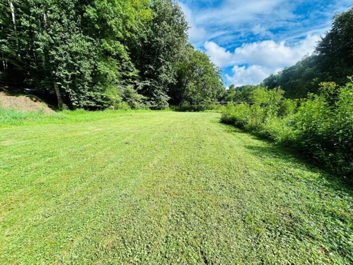 Picture of Residential Land For Sale in Dugspur, Virginia, United States