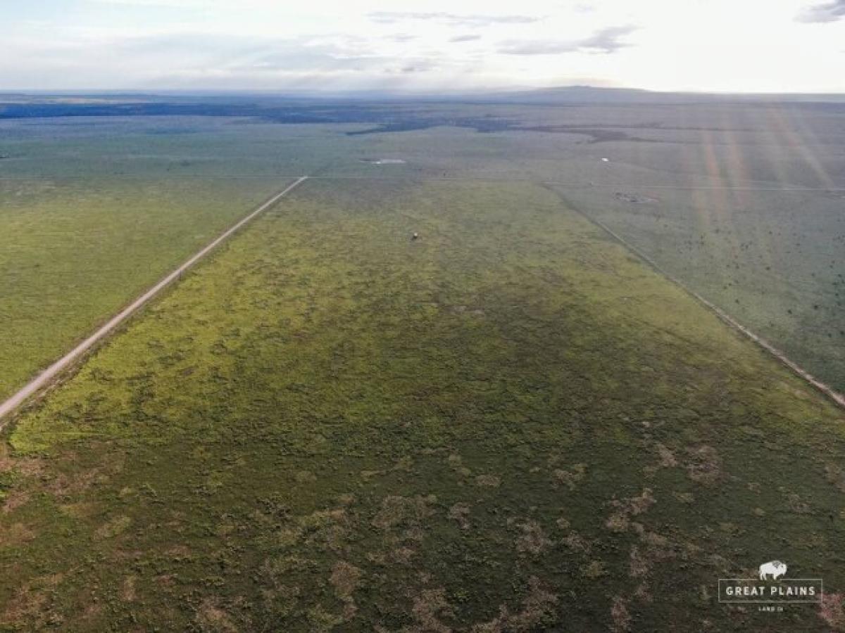 Picture of Residential Land For Sale in Roy, New Mexico, United States