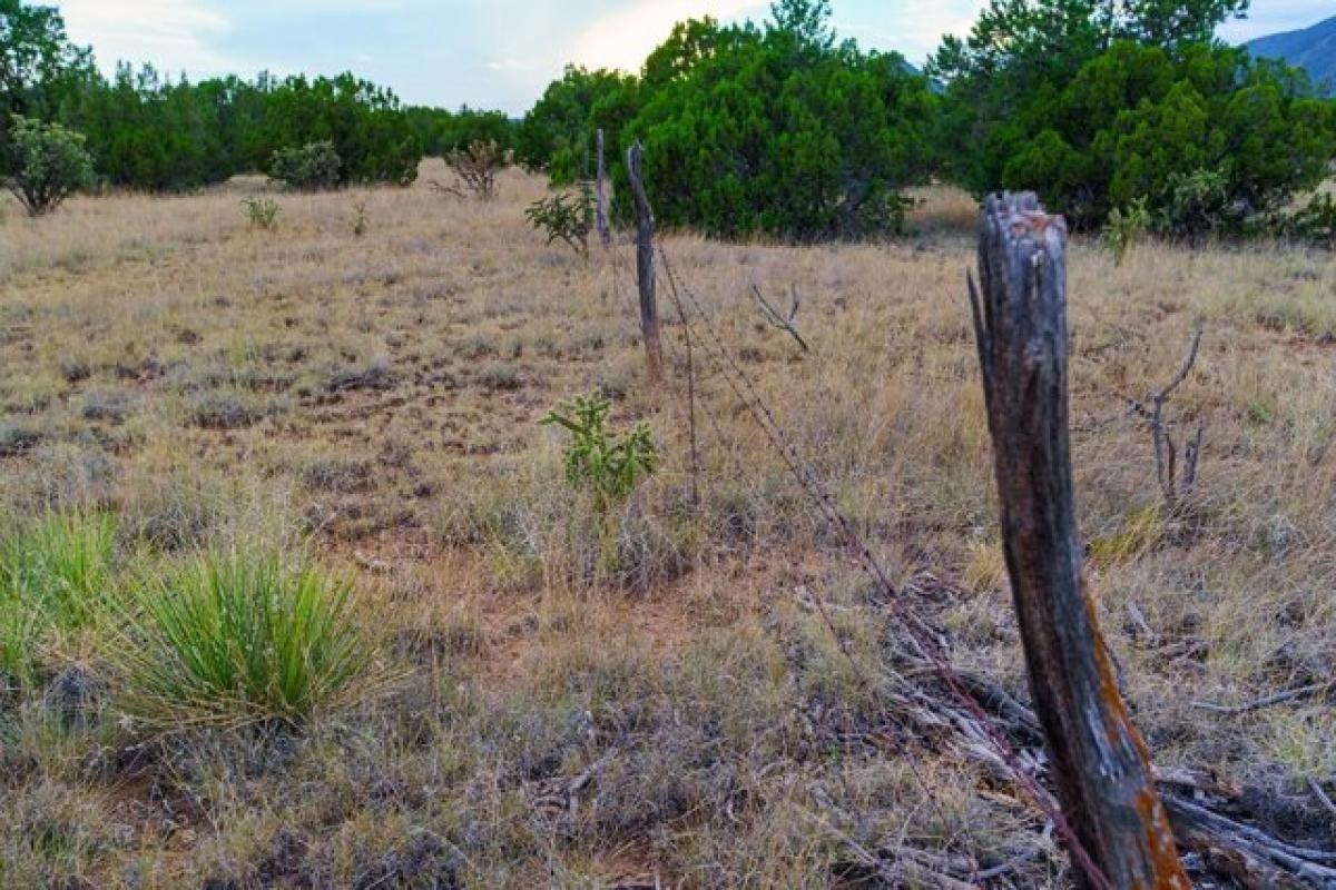 Picture of Residential Land For Sale in Cerrillos, New Mexico, United States