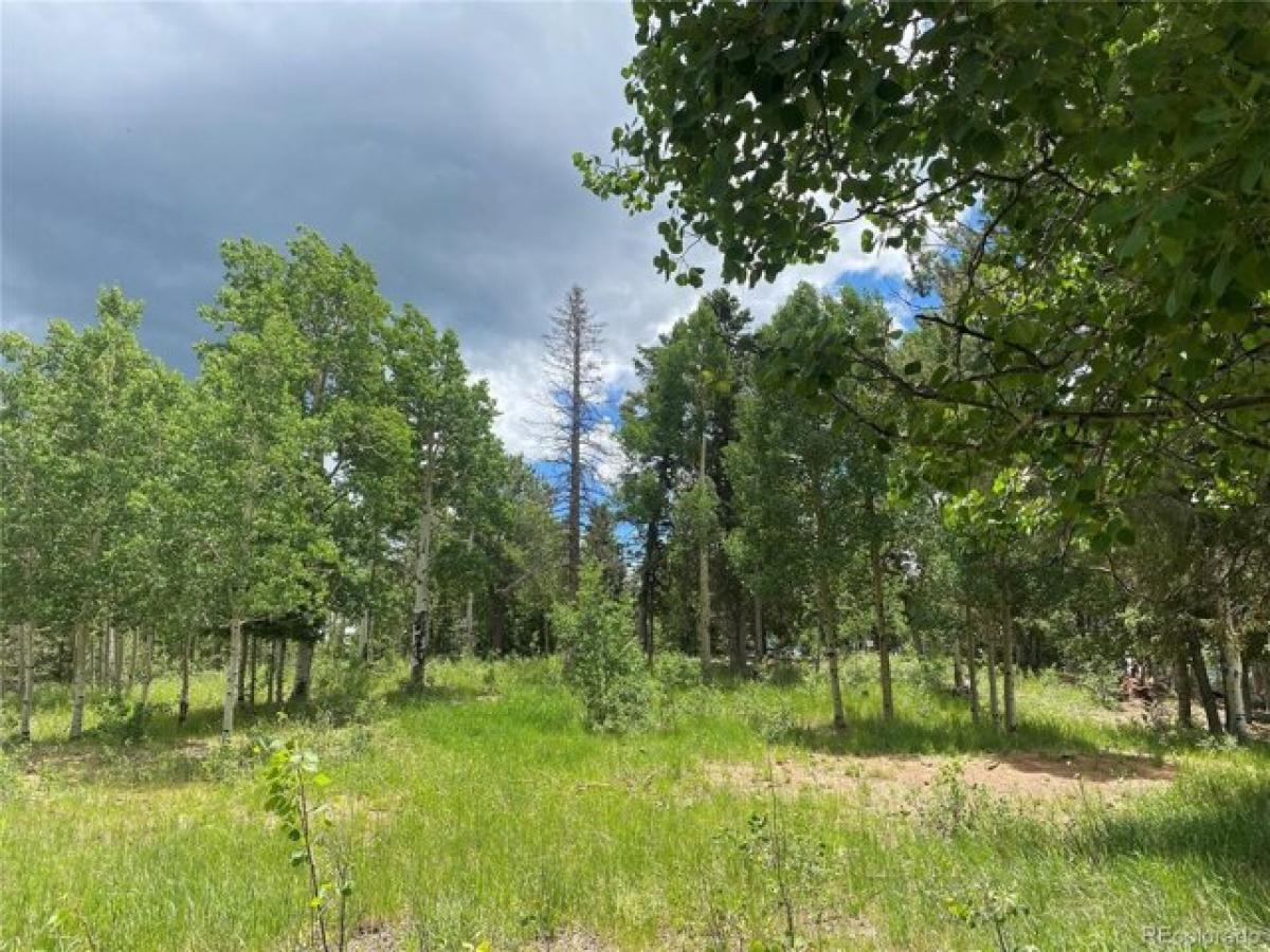 Picture of Home For Sale in Cripple Creek, Colorado, United States