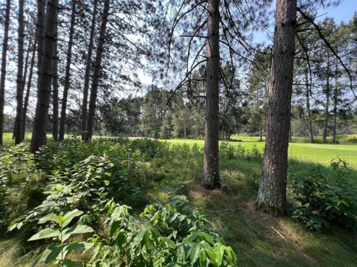 Picture of Residential Land For Sale in Minocqua, Wisconsin, United States