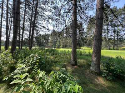 Residential Land For Sale in Minocqua, Wisconsin