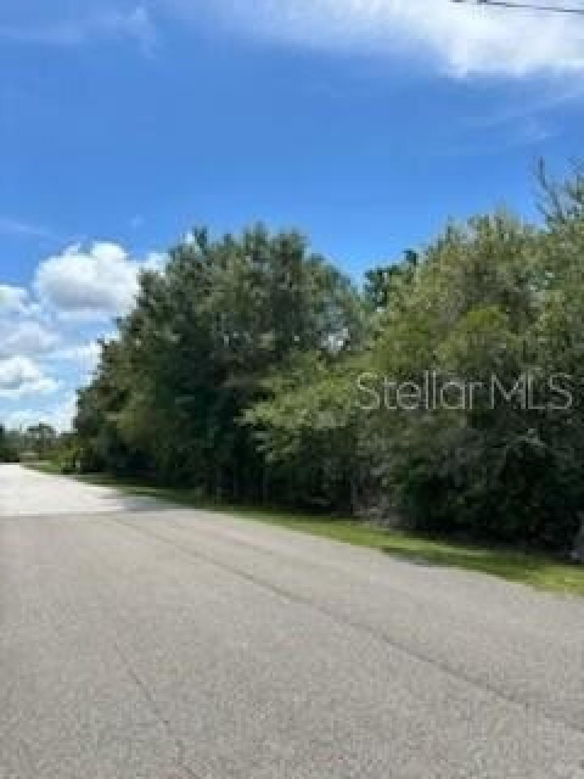 Picture of Residential Land For Sale in Wesley Chapel, Florida, United States