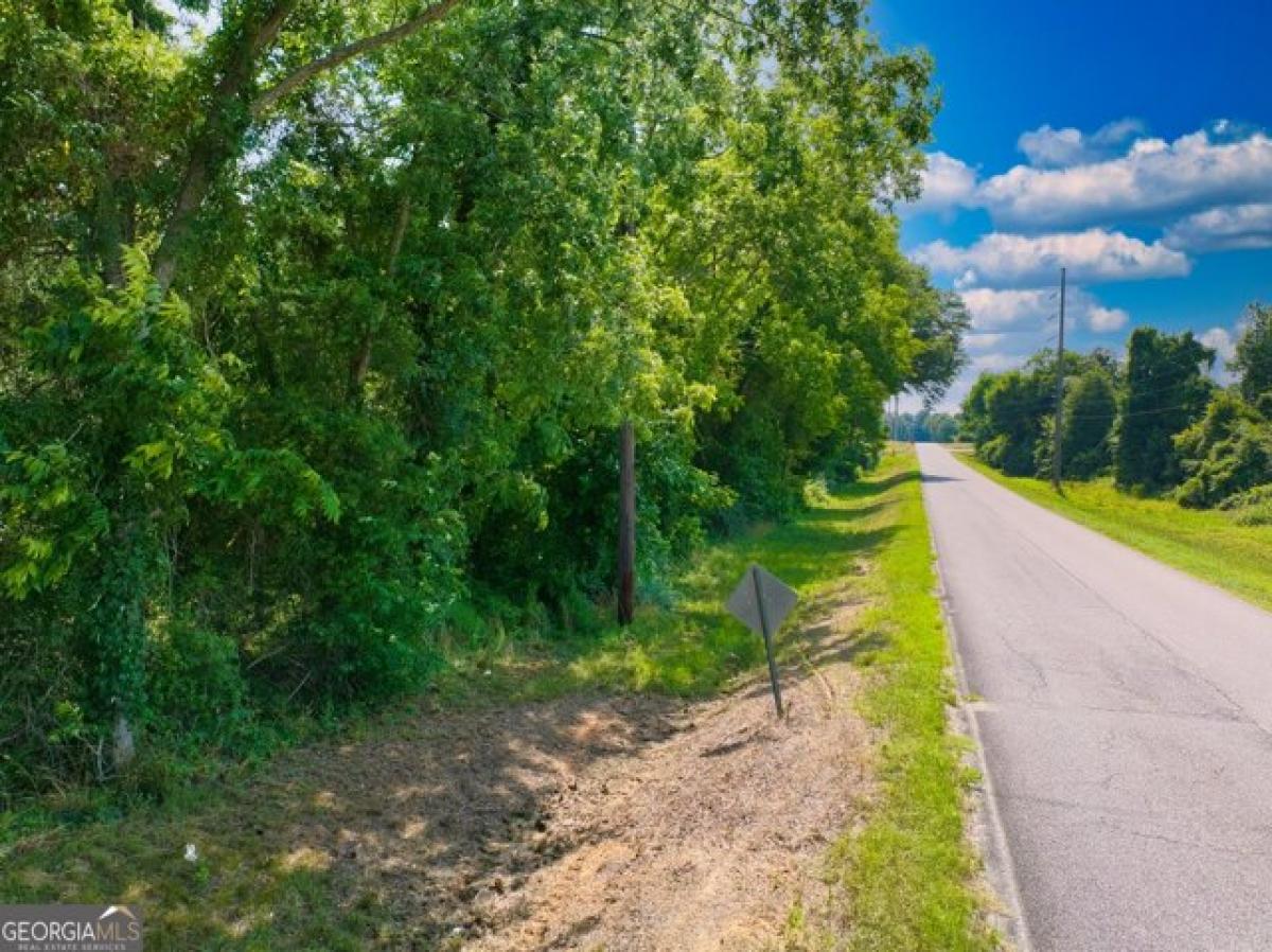 Picture of Residential Land For Sale in Hawkinsville, Georgia, United States