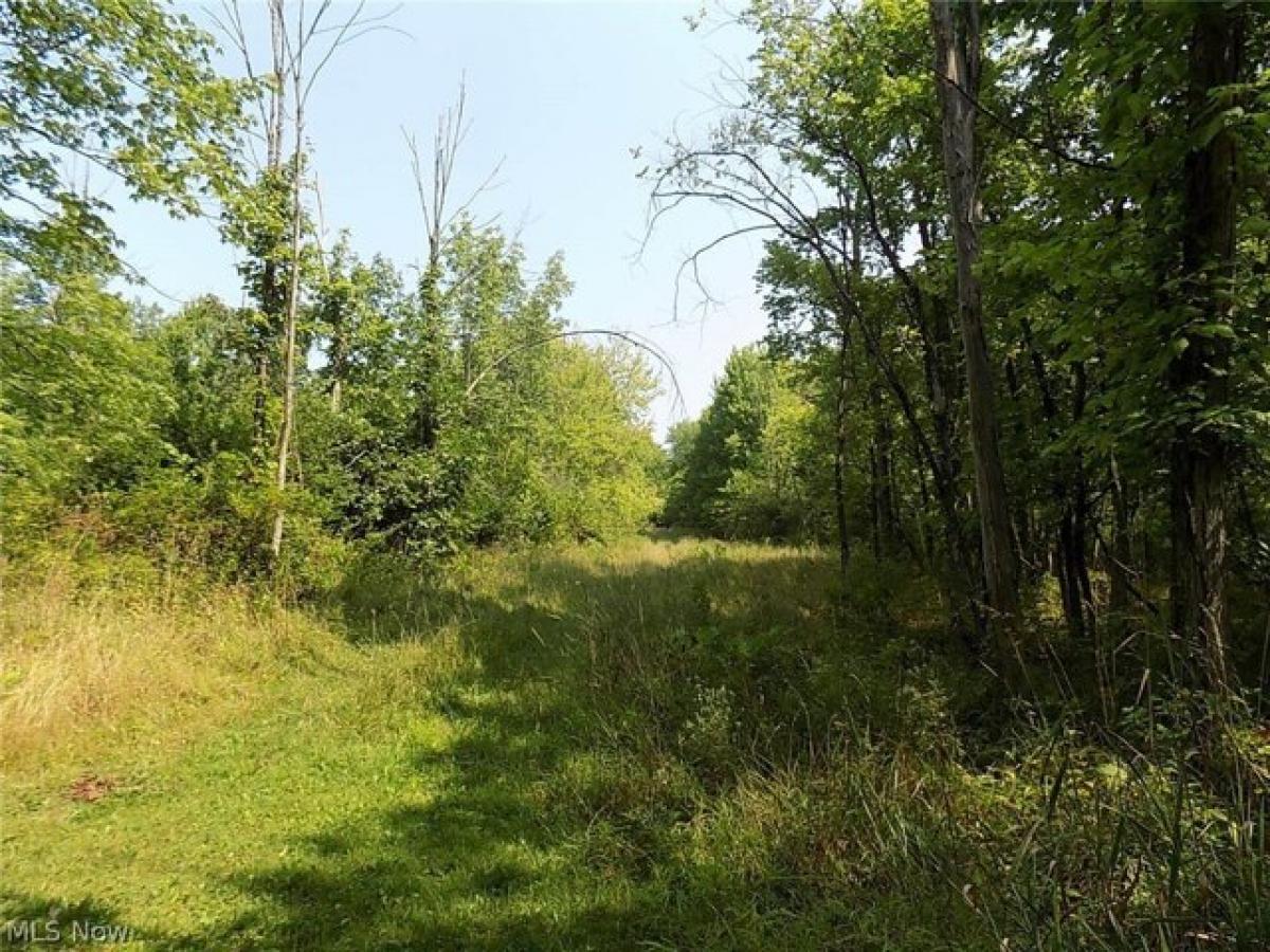 Picture of Residential Land For Sale in Strongsville, Ohio, United States