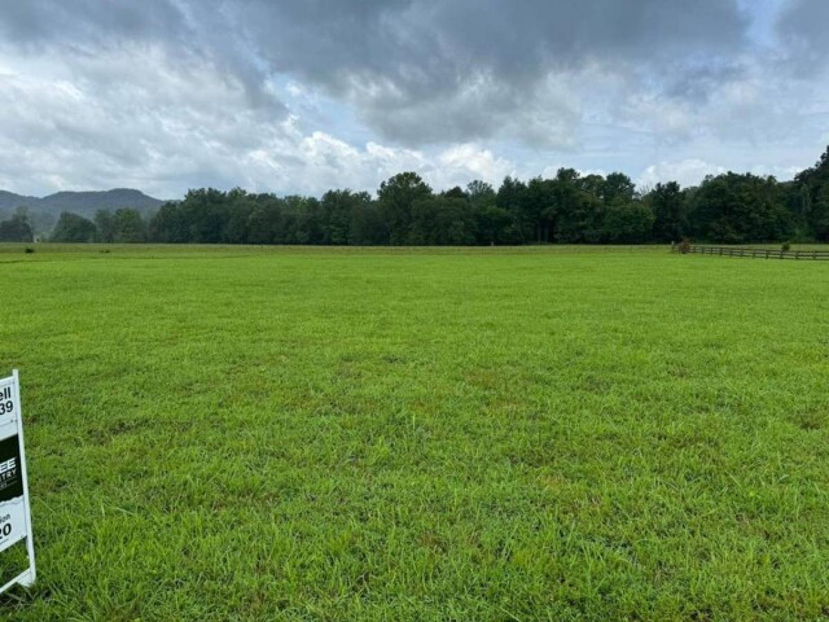 Picture of Residential Land For Sale in Burkesville, Kentucky, United States