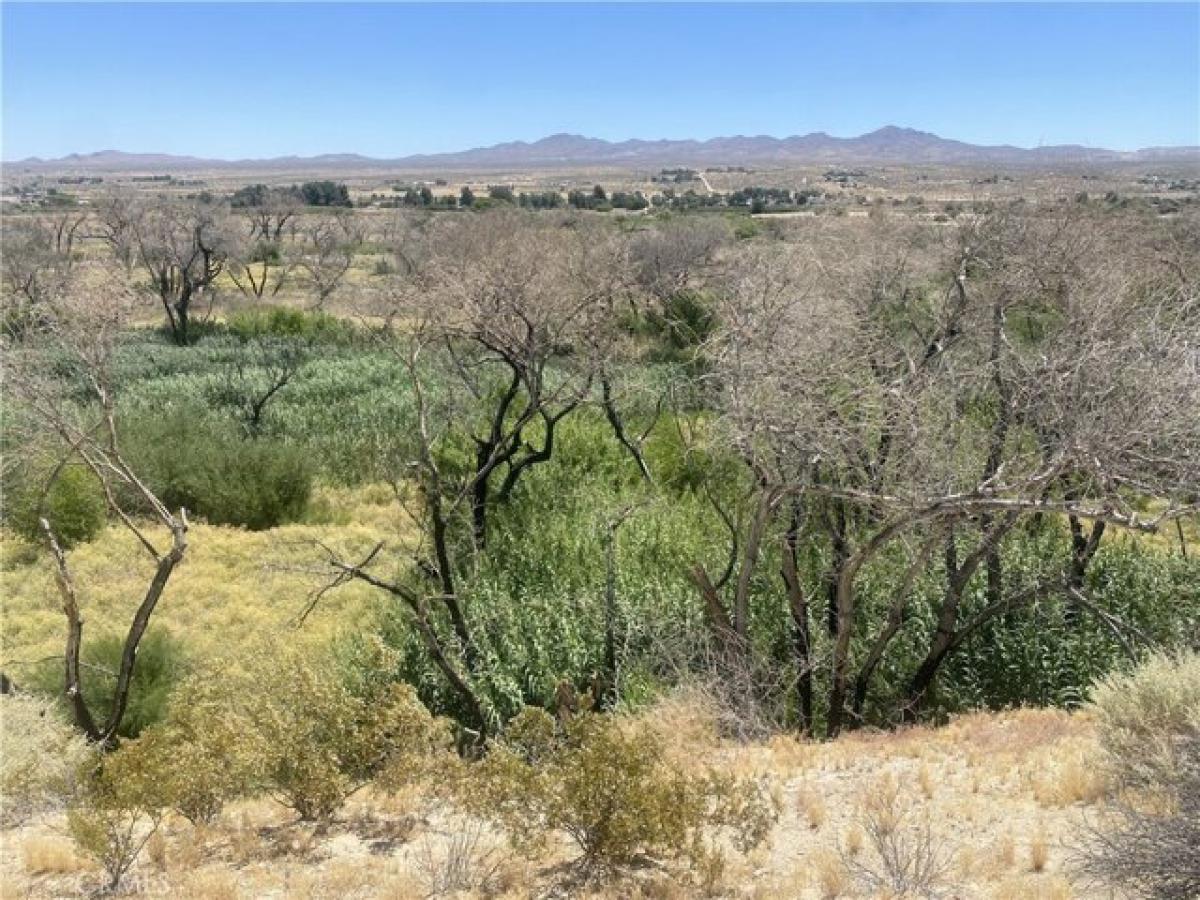 Picture of Residential Land For Sale in Oro Grande, California, United States