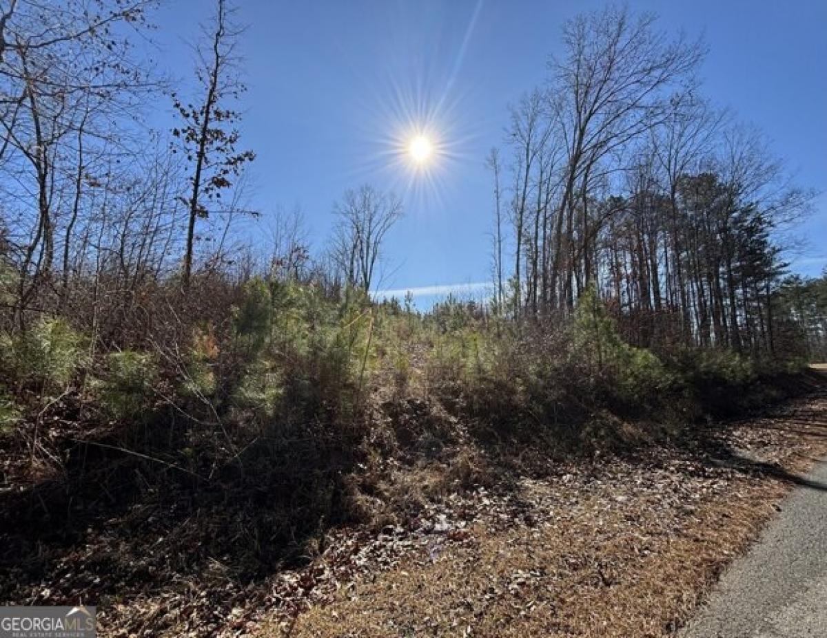 Picture of Residential Land For Sale in Temple, Georgia, United States