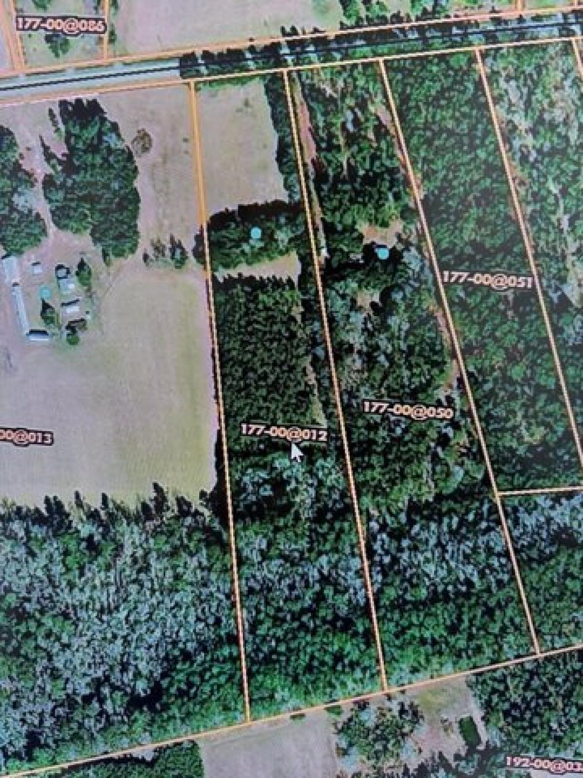 Picture of Residential Land For Sale in Walterboro, South Carolina, United States