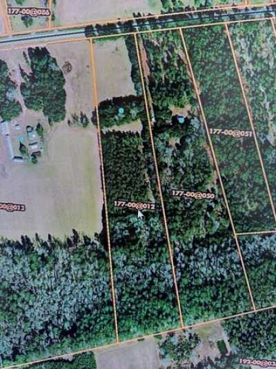 Residential Land For Sale in Walterboro, South Carolina