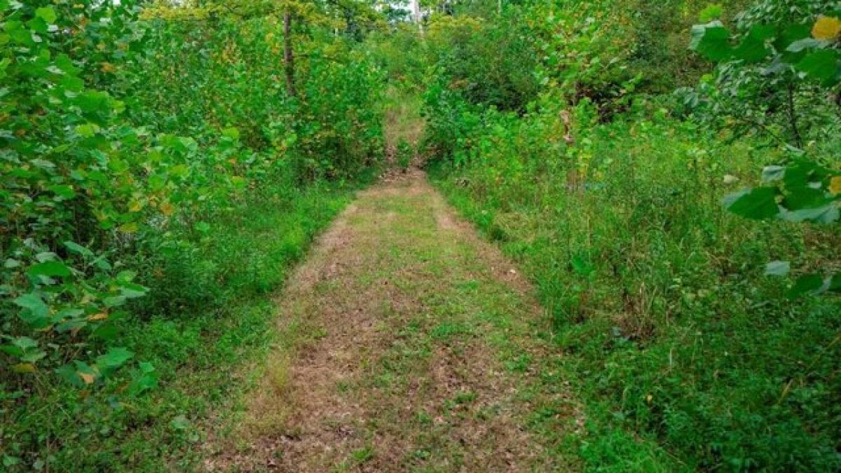 Picture of Residential Land For Sale in Londonderry, Ohio, United States