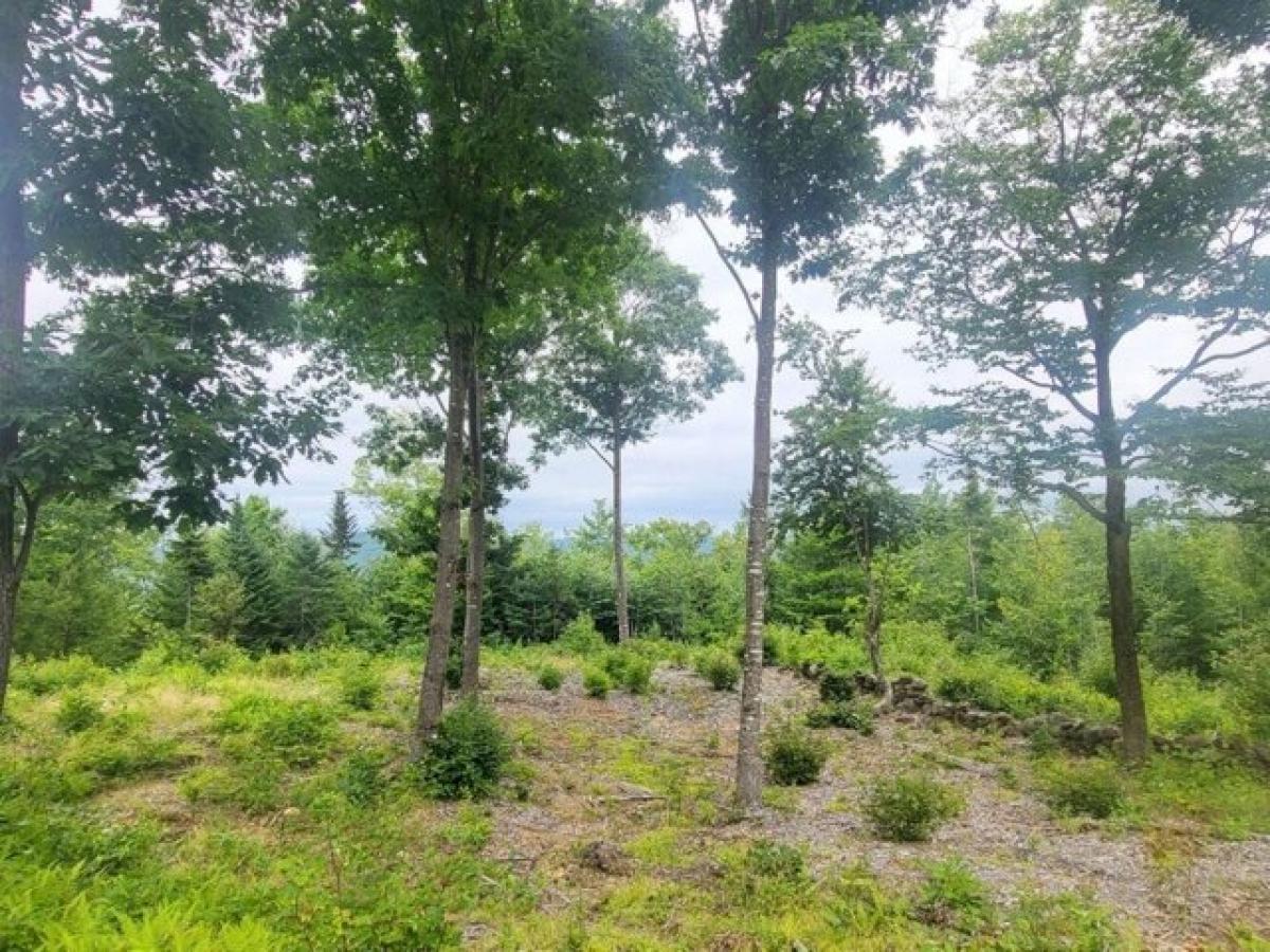 Picture of Residential Land For Sale in Temple, Maine, United States