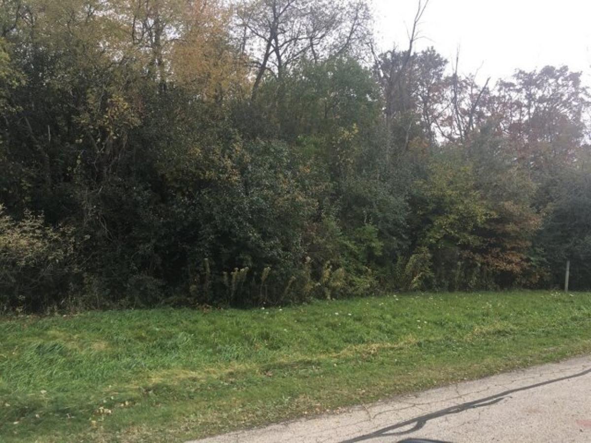 Picture of Residential Land For Sale in Richmond, Illinois, United States