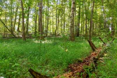 Residential Land For Sale in Ware Shoals, South Carolina