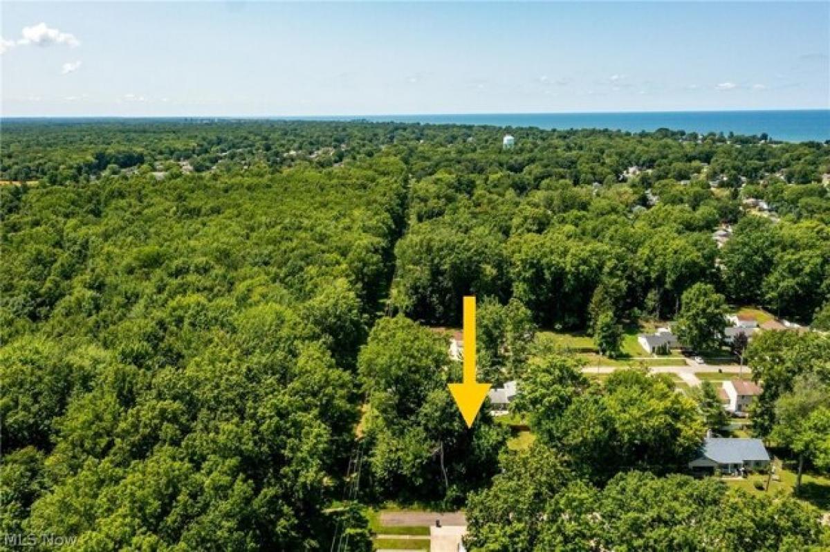 Picture of Residential Land For Rent in Sheffield Lake, Ohio, United States