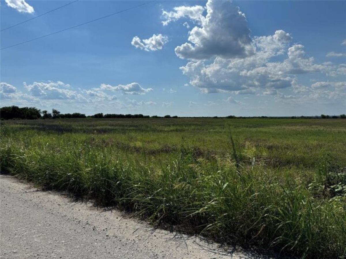 Picture of Residential Land For Sale in Blum, Texas, United States