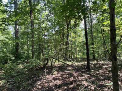 Residential Land For Sale in Waterloo, Alabama